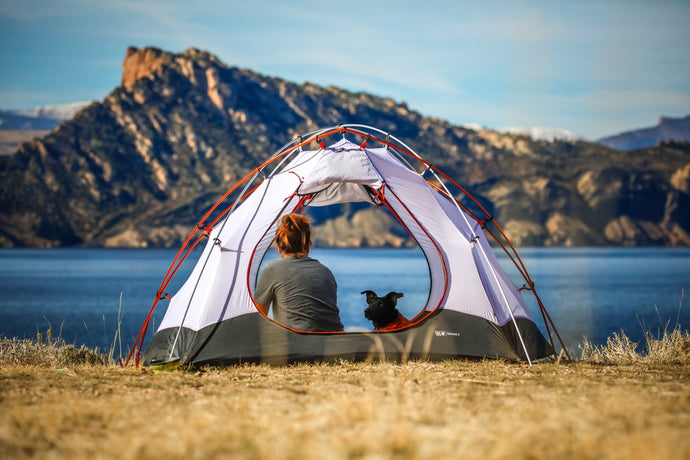 5 Survival Strategies for Camping on a Budget